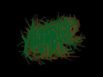Neobatrachia - Poison Frogs In The Urinary Tract (2013) Neobatrachia - Poison Frogs In The Urinary Tract (2013)