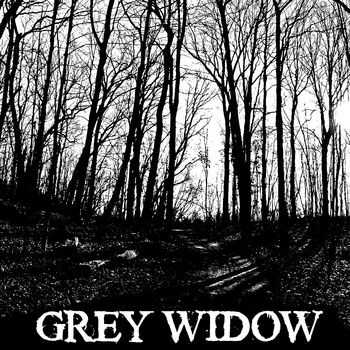 Grey Widow - I (2014)