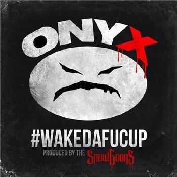Onyx - #WakeDaFucUp Tour (2014) 320 kbps + Live-