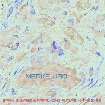 Merke Uro - Brain, Sunrise & Paralyzing Future In The Eyes (2014)