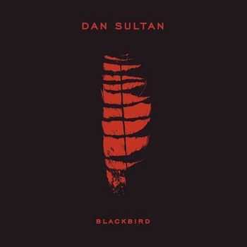 Dan Sultan - Blackbird 2014 Dan Sultan - Blackbird 2014