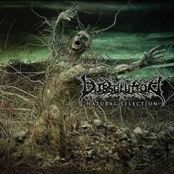 Dissolution - Natural Selection (2014) Dissolution - Natural Selection (2014)