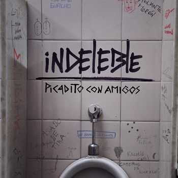 Indeleble - Picadito con Amigos 2014