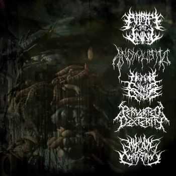 Human Carcass Crop Circle & Human Decomposition & Anomalistic & Perverted Dexterity & Putrefy The Living - 5 Way Rotten Bowels (2014) Human Carcass Crop Circle & Human Decomposition & Anomalistic & Perverted Dexterity & Putrefy The Living - 5 Way Rotten Bowels (2014)