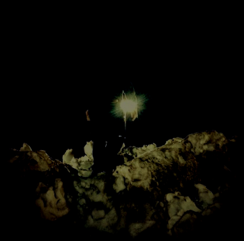Cursed Altar - The Light Shall Die (2014) Cursed Altar - The Light Shall Die (2014)
