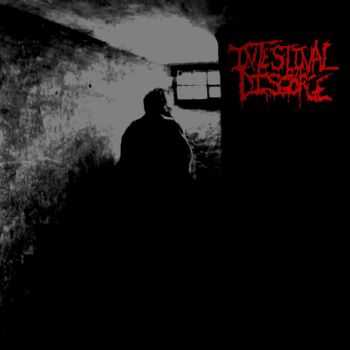 Intestinal Disgorge - Let Them In (2014)