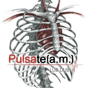 Pulsateam - Lub Dub [EP] (2014)