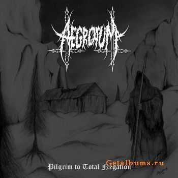 Aegrotum - Pilgrim To Total Negation (2014)
