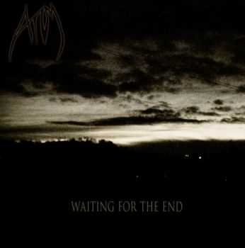 Atom - Waiting For The End (2013)