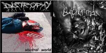 Butcher M.D. & Distrophy - Split