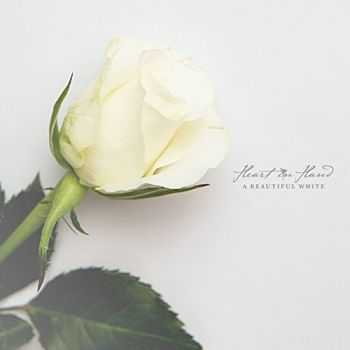 Heart In Hand - A Beautiful White (2014) Heart In Hand - A Beautiful White (2014)