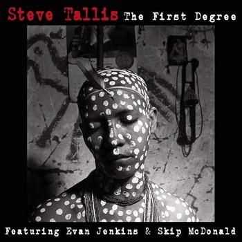 Steve Tallis - The First Degree (2014) Steve Tallis - The First Degree (2014)
