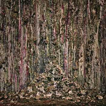 Piss Vortex - Piss Vortex (2014) Piss Vortex - Piss Vortex (2014)