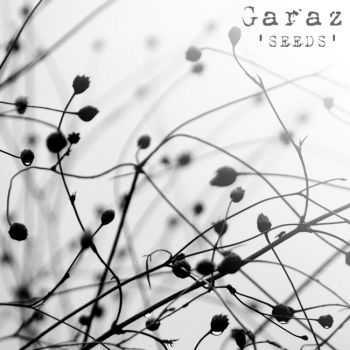 Garaz - Seeds (2013)