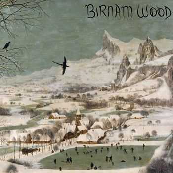 Birnam Wood - Birnam Wood (2014)