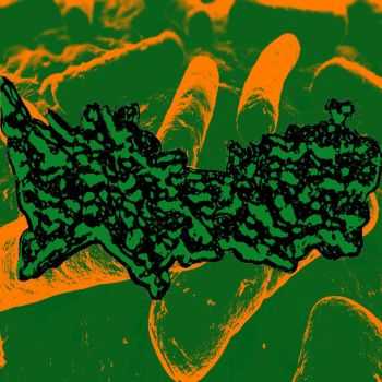 Bakterial Shit - Descomposition Of Extripated Anomalies (2014) Bakterial Shit - Descomposition Of Extripated Anomalies (2014)