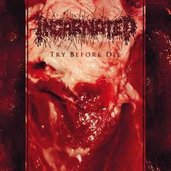 Incarnated - Try Before Die (2014) Incarnated - Try Before Die (2014)