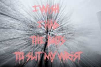 I WISH I HAD THE GUTS TO SLIT MY WRIST - DEMO (2015) I WISH I HAD THE GUTS TO SLIT MY WRIST - DEMO (2015)