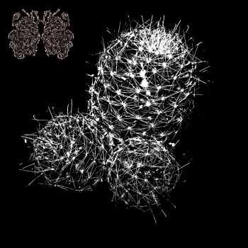 Cockthrone - Cockthrone (2014) Cockthrone - Cockthrone (2014)