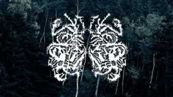 Cockthrone - Cockthrone (2014) Cockthrone - Cockthrone (2014)
