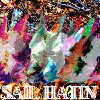 Sail Hatin - A Taste (2014)