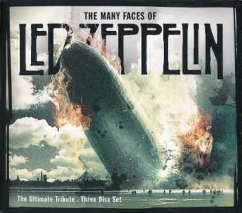 VA - The Many Faces Of Led Zeppelin - The Ultimate Tribute (2007)