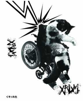 XRDM - s-t cassette (2014) XRDM - s-t cassette (2014)