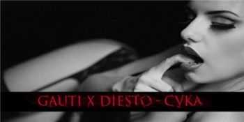 GauTi x DIESTO -  (2015)