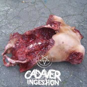 Cadaver Ingestion - Cadaver Ingestion (Demo) (2015)