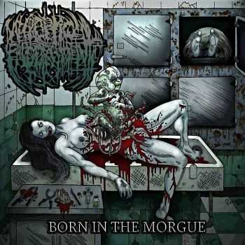 Necroptic Engorgement - Born In The Morgue (2014) Necroptic Engorgement - Born In The Morgue (2014)