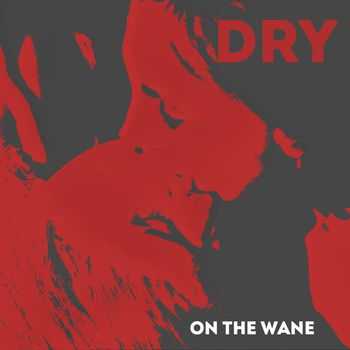 On The Wane - DRY (2014)