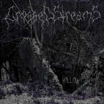 Crossed Streams - Hollow (2015) Crossed Streams - Hollow (2015)