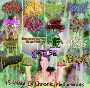 VA - 15-Ways Of Chronic Masturbators (Split) (2012)