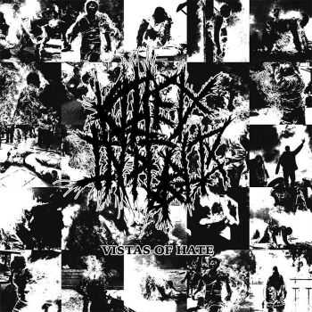 Killed in public - Vistas of hate (2015)