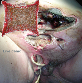 Golden Showers - Live Demo (2014) Golden Showers - Live Demo (2014)