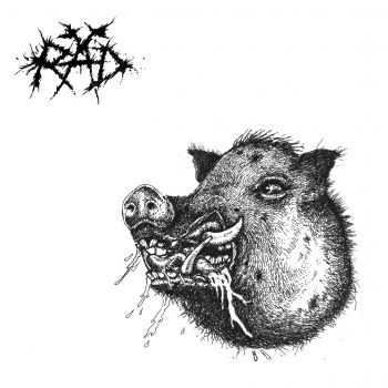 RÄD - RÄD II (2015) RÄD - RÄD II (2015)
