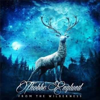 Thobbe Englund (Sabaton) - From The Wilderness (2015) Thobbe Englund (Sabaton) - From The Wilderness (2015)