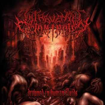 Intravenous Contamination - Drowned In Human Fluids (2015)