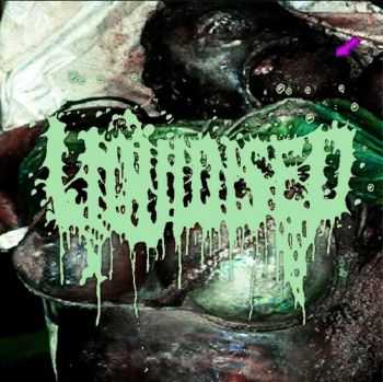Liquidised - Visceral Fetishism (2015) Liquidised - Visceral Fetishism (2015)