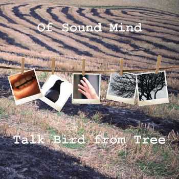 Of Sound Mind - Talk Bird from Tree (2015)