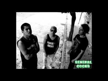 Several Cocks - Muerte Lenta (2015) Several Cocks - Muerte Lenta (2015)