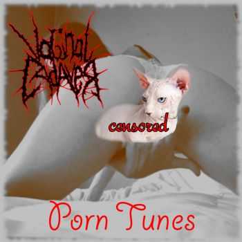 Vaginal Cadaver - Porn Tunes (2015) Vaginal Cadaver - Porn Tunes (2015)