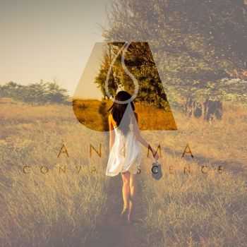 Anima  Convalescence (2015)