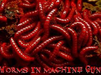 Worms In Machine Gun - Demo 666 (2015)