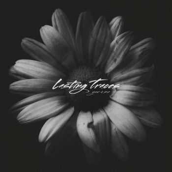 Lasting Traces - You & Me (2015) Lasting Traces - You & Me (2015)