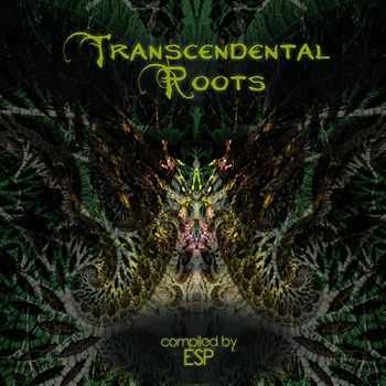 VA - Transcendental Roots (2015)