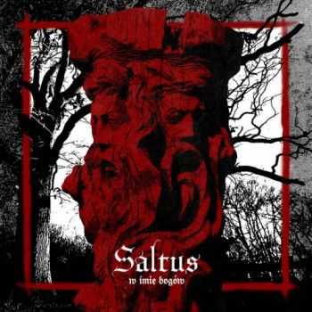 Saltus - W Imie Bogow (Limited Edition) (2015)