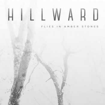 Hillward - Flies In Amber Stones (2015)