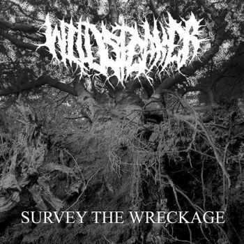 Wildspeaker - Survey The Wreckage (2015)