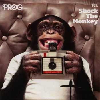 VA - Prog P38: Shock The Monkey (2015)